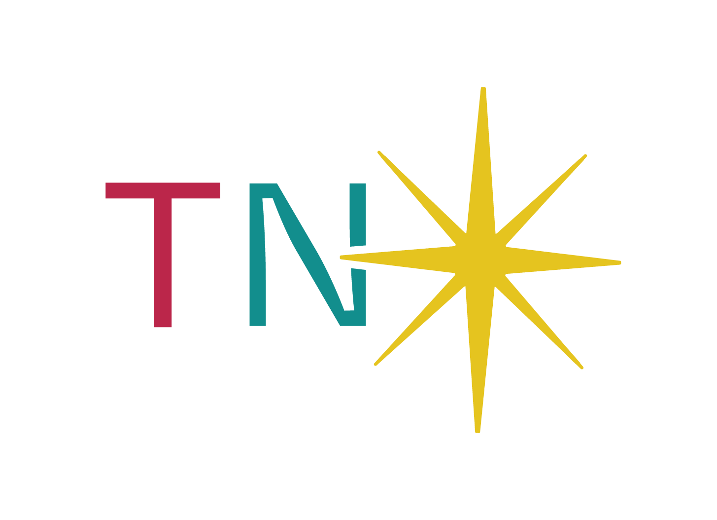 True North Leadership Logo